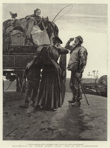 Tess från D