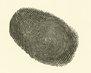 Fingeravtryck (gravyr)