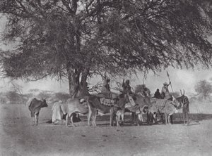 Afrika: Karavan med oxryttare på Vita Nilen (svartvitt foto) av Hugo Adolf Bernatzik