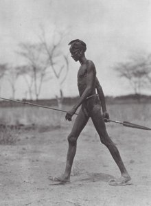 Afrika: Dinka-krigare med spjut (svartvitt foto)