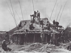 Afrika: Uppförande av raststuga nära Amadi (svartvitt foto) av Hugo Adolf Bernatzik