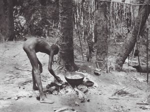 Afrika: Nuer lagar krokodilkött (svartvitt foto) av Hugo Adolf Bernatzik