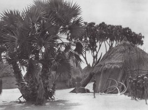 Afrika: Shilluk-by vid Vita Nilen (svartvitt foto) av Hugo Adolf Bernatzik