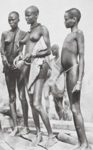 Sudan negerflicka (svartvitt foto) av Hugo Adolf Bernatzik