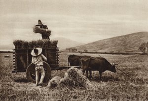 Mexiko: Bönder skördar vete (svartvitt foto) av Hugo Brehme
