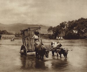 Mexiko: Oxvagn med hjul i form av skivor (svartvitt foto) av Hugo Brehme