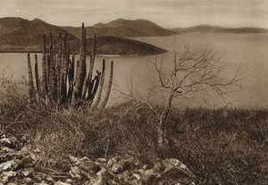 Mexiko: Nära Baja Californias kust (svartvitt foto) av Hugo Brehme