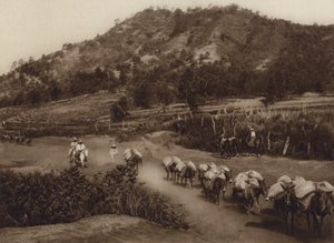 Mexiko: Transportnav i det inre av landet (svartvitt foto) av Hugo Brehme