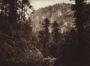 Mexiko: La Canada, Contreras, D F (svartvitt foto)