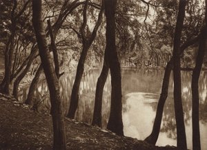 Mexiko: Las fuentes de Tlalpam D F (svartvitt foto) av Hugo Brehme