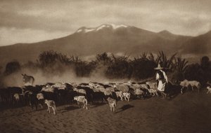 Mexiko: Omgivningarna kring Amecameca (svartvitt foto) av Hugo Brehme
