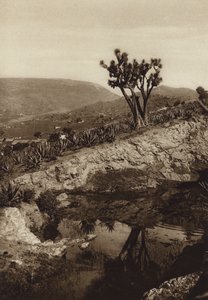 Mexiko: Tolucas omgivningar (svartvitt foto) av Hugo Brehme