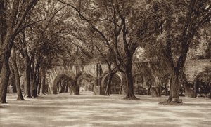 Mexiko: Morelia, gammal vattenledning (svartvitt foto) av Hugo Brehme