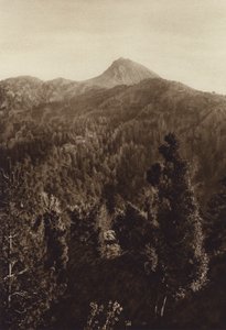 Mexiko: Nevado de Colima, Partiell vy (svartvitt foto) av Hugo Brehme