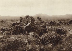 Mexiko: Pedregal, Corriente de basalto-lava nära San Angel (svartvitt foto) av Hugo Brehme