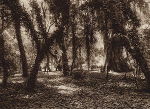 Mexiko: Idyllisk plats i parken Chapultepec (svartvitt foto) av Hugo Brehme