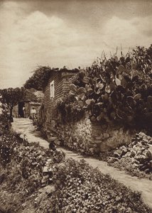 Mexiko: Pittoreskt hörn i San Angel D F (svartvitt foto) av Hugo Brehme
