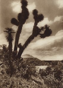 Mexiko: San Juan Teotihuacan, Piramide del Sol (svartvitt foto) av Hugo Brehme