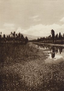 Mexiko: Xochimilco, En av huvudkanalerna (svartvitt foto)