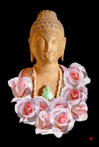BUDDHA av Hugo Nefe