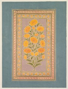 Blommande ringblomma, ca. 1765. av Hunhar II