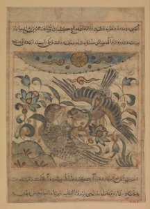 Örnpar, Folio från en Manafi