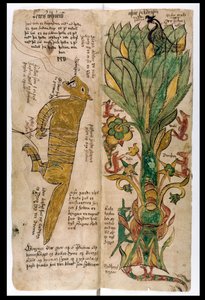 Vargen Fenrir och världsträdet Yggdrasil, 1680