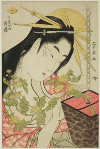 Herr Tsukioka från Te Hyogo