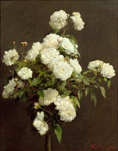 Vita rosor, 1870