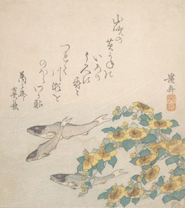 Fiskar som simmar med gula blommor, ca. 1830. av Ikeda Eisen