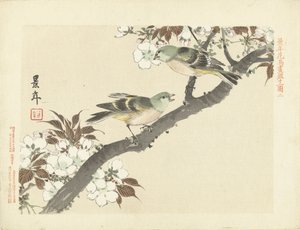 花の枝に 2 つの緑の鳥 桂年花鳥画（シリーズ名） 経年課長画譜 スウェーデン語