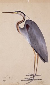 En häger, ca. 1820 av Indian School