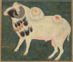 En kunglig bagge med guldkedja, ca. 1585 (ogenomskinlig akvarell & guld på papper) av Indian School