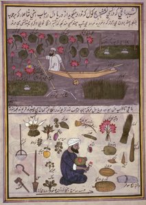 "Album of Kashmiri Trades", ca 1860 (akvarell på papper) av Indian School