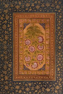 Albumsida med Stokesia och porträtt av Abdul Rahim Khan-e Khanna, ca 1800 (ogenomskinlig wc & guld på papper)
