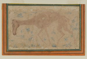 En utmärglad häst, från Mughal eller Deccan, mitten av 1600-talet (bläck & färgtvätt på papper) av Indian School