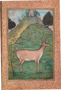 Buck in a Landscape, ca 1595 (ogenomskinlig wc & guld på papper) av Indian School