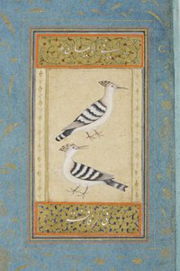 Hoopoes, ca 1590 (ogenomskinlig wc & guld på papper) av Indian School