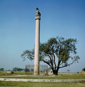 Kejsar Ashokas lejonpelare (ca 264-223 f.Kr.) av Indian School