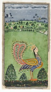 Mytisk påfågel med en kvinnas huvud, Hyderabad, ca 1750 av Indian School