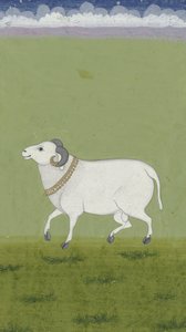 Ram med guldkrage, 1700-1799 av Indian School
