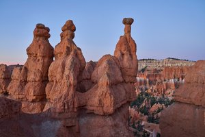 Ett landskap i Bryce Canyon National Park, Utah, 2020 (foto) av Ira Block