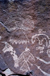 Etsningar av anasazisk bergskonst funna i New Mexico.