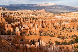 Hoodoos - spiror som skapats av erosion - i Bryce Canyon National Park i Utah, 2019 (foto)