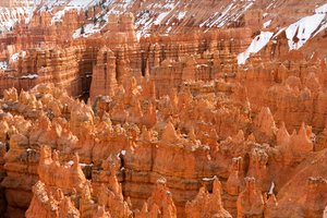 Hoodoos - spiror som skapats av erosion - i Bryce Canyon National Park i Utah, 2019 (foto)