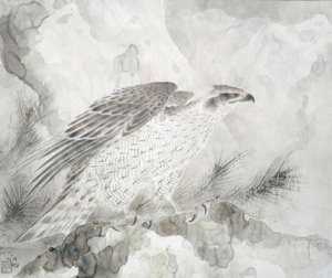 Hawk (Falke) av Irie Hako