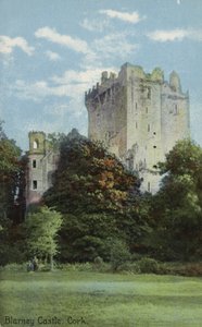 Blarney Castle, Cork av Irish Photographer
