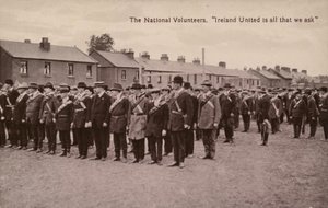 De nationella volontärerna av Irish Photographer