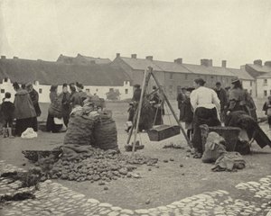 Potatismarknaden, Drogheda (s/v foto) av Irish Photographer
