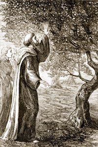 St. Columba förvandlar bitter frukt till söt, från The Trias Thaumaturga, eller Three Wonder-Working Saints of Ireland, av Mary Cusack (1829-99) publicerad ca 1890-talet av Irish School